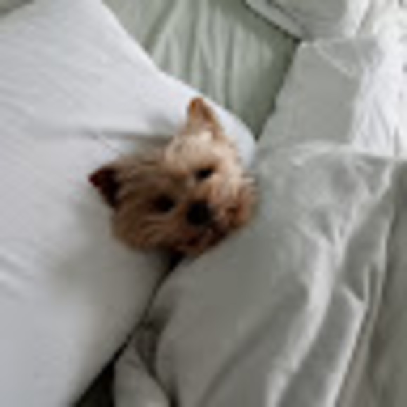 Meet your Posher, Mike - Picture 1 of 1